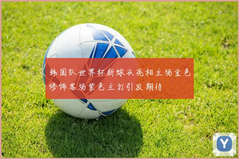 韩国队世界杯新球衣亮相主场金色修饰客场紫色主打引发期待