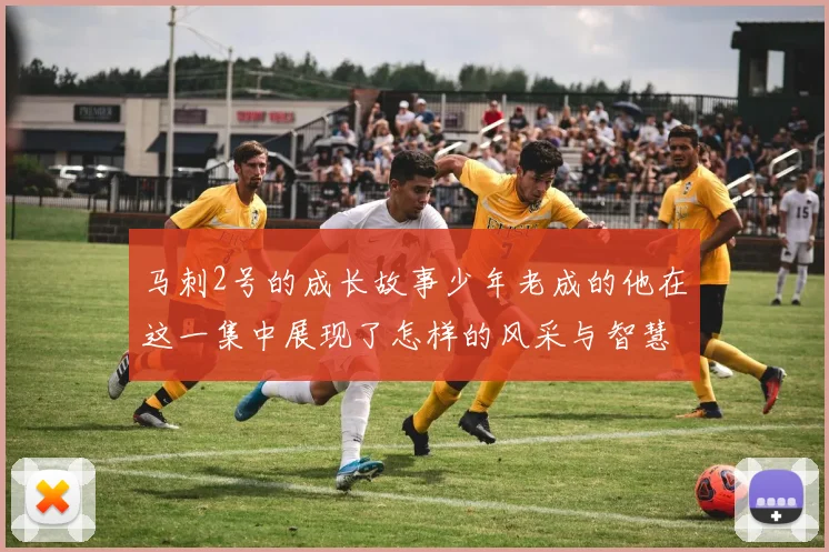 马刺2号的成长故事少年老成的他在这一集中展现了怎样的风采与智慧
