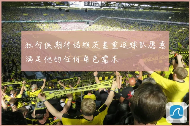 独行侠期待诺维茨基重返球队愿意满足他的任何角色需求